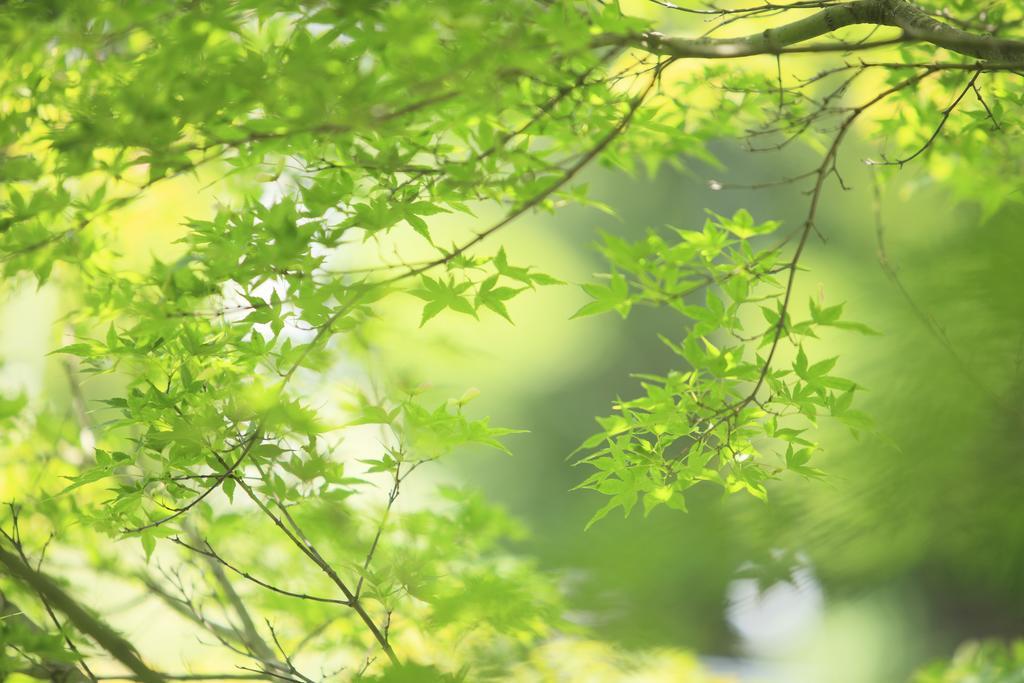Oushuku Onsen Choeikan Shizukuishi Buitenkant foto